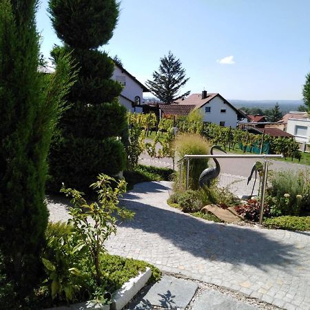 Ferienwohnung Wisser- Fernblick Bad Bellingen Exteriér fotografie