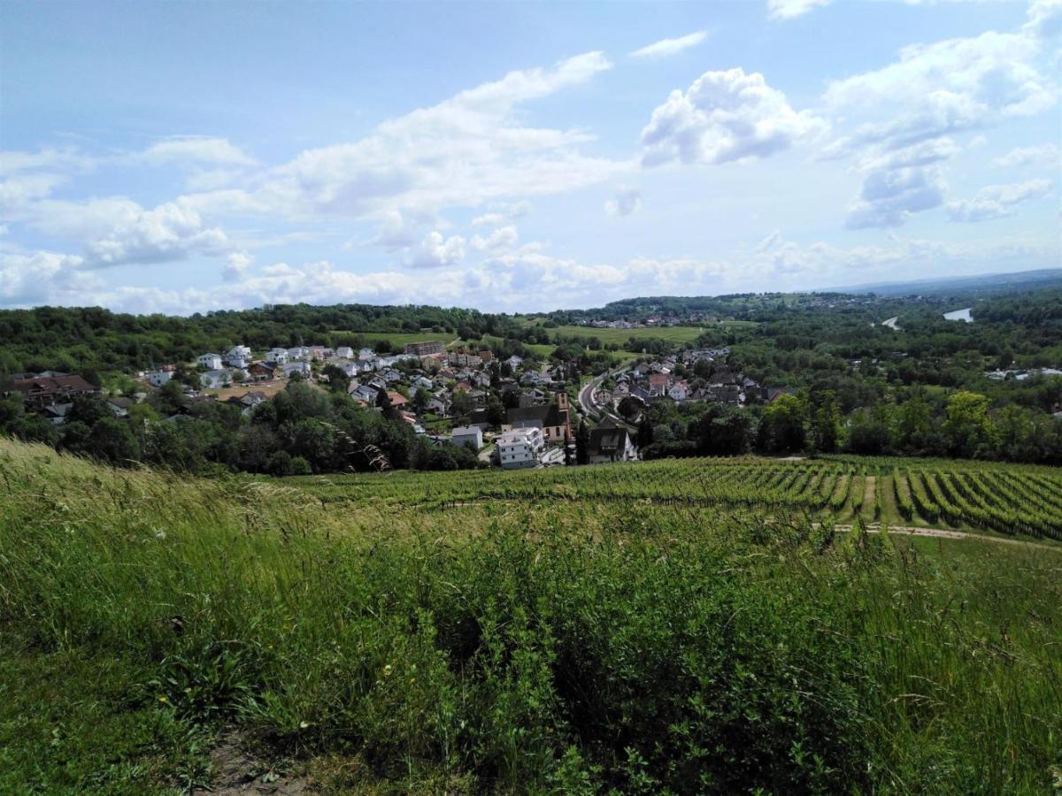 Ferienwohnung Wisser- Fernblick Bad Bellingen Exteriér fotografie